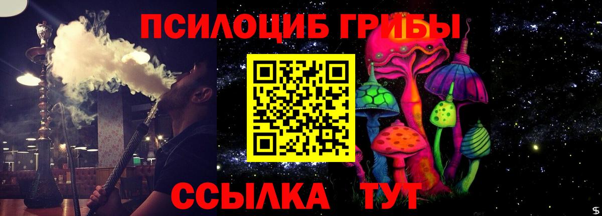 Псилоцибиновые грибы Cubensis  Вход с VPN  Людиново  Псилоцибиновые грибы GOLDEN TEACHER 
