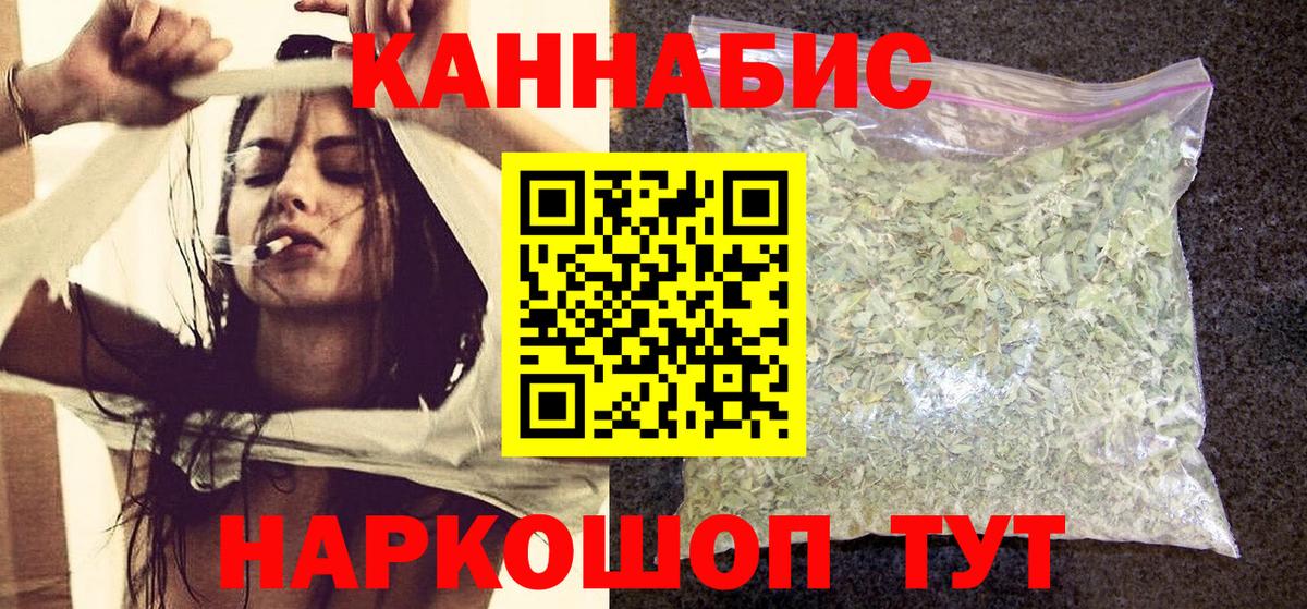 Людиново  Канабис планчик  Вход с VPN  Каннабис марихуана  Канабис OG Kush  Бошки Шишки гибрид 